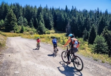 Къде да карам: 5 леки веломаршрута около Смолян Къде да караме край Смолян