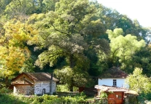 Шумският манастир „Св. Архангел Михаил“