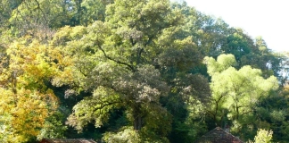 Шумският манастир „Св. Архангел Михаил“