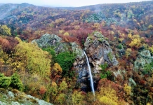 Търническото пръскало