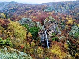 Търническото пръскало