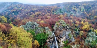 Търническото пръскало