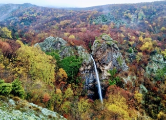 Търническото пръскало