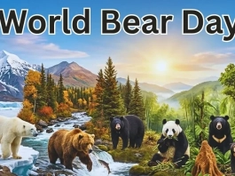 Световен ден на мечката