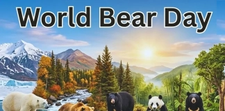 Световен ден на мечката