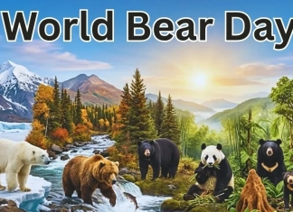 Световен ден на мечката