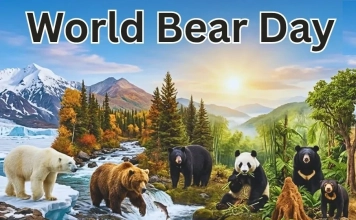 Световен ден на мечката