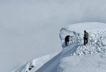 Българската лавинна асоциация