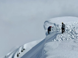 Българската лавинна асоциация