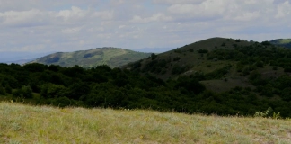 Планината Голо бърдо