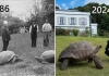 200-годишната история на Джонатан Снимка на Джонатан през 1886 г. и снимка от 2024 г. с принц Едуард