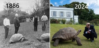 Снимка на Джонатан през 1886 г. и снимка от 2024 г. с принц Едуард