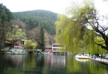 Клептуза
