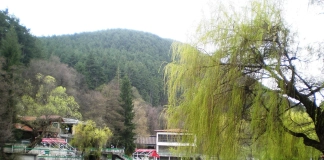 Клептуза