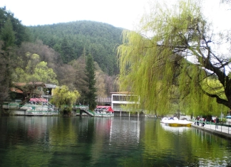 Клептуза