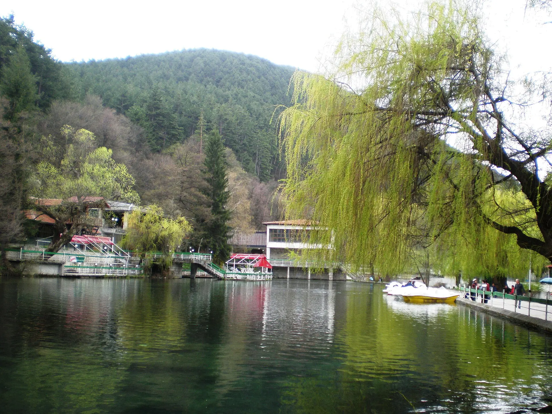 Клептуза