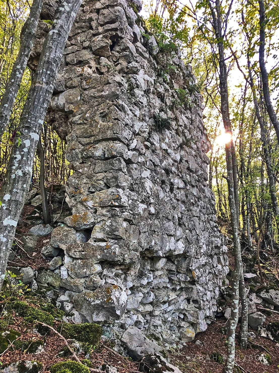 Паница кале, Липнишка крепост