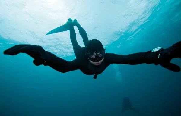 BG Шампиони: Любомир Стефанов